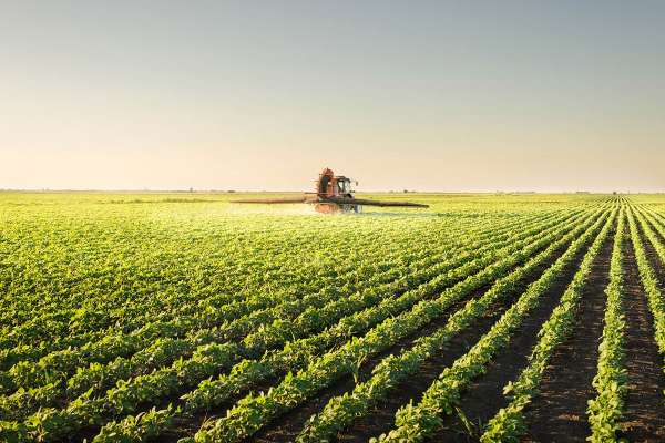 Agronegcio cresce 3,8% e representa 21% do PIB brasileiro