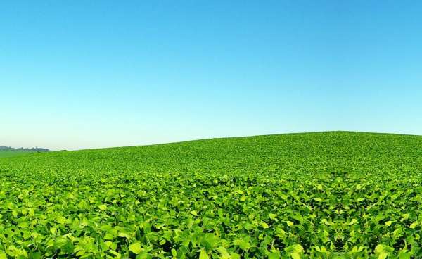 Conhea os principais equipamentos para minerao e agroindstria e suas aplicaes